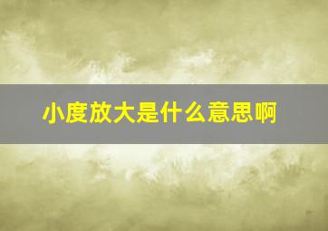 小度放大是什么意思啊