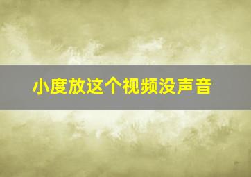 小度放这个视频没声音