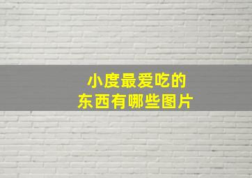 小度最爱吃的东西有哪些图片