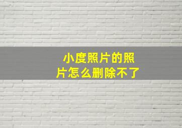 小度照片的照片怎么删除不了