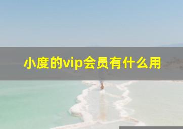 小度的vip会员有什么用