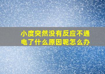 小度突然没有反应不通电了什么原因呢怎么办