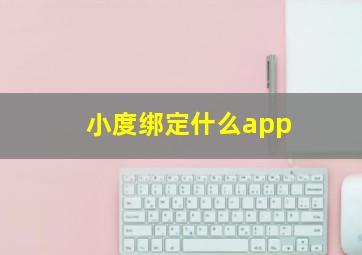 小度绑定什么app