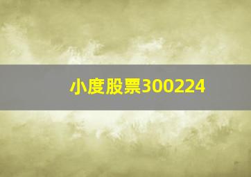 小度股票300224