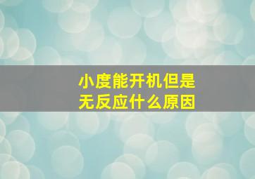 小度能开机但是无反应什么原因