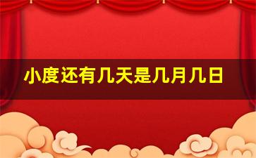 小度还有几天是几月几日