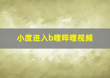 小度进入b哩哔哩视频