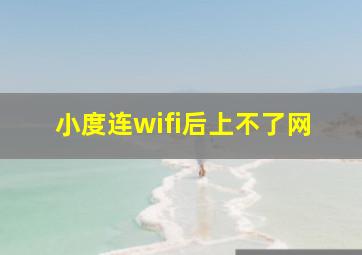 小度连wifi后上不了网