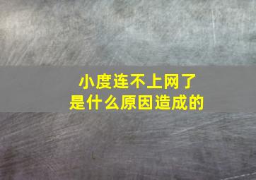 小度连不上网了是什么原因造成的