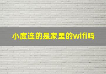 小度连的是家里的wifi吗