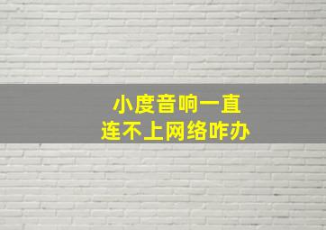 小度音响一直连不上网络咋办