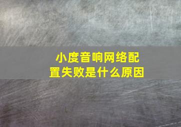 小度音响网络配置失败是什么原因