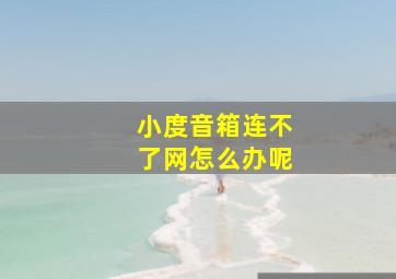 小度音箱连不了网怎么办呢