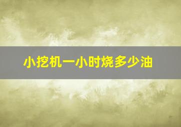 小挖机一小时烧多少油