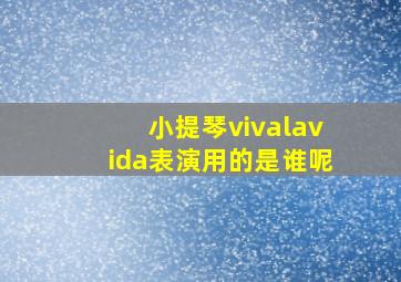 小提琴vivalavida表演用的是谁呢