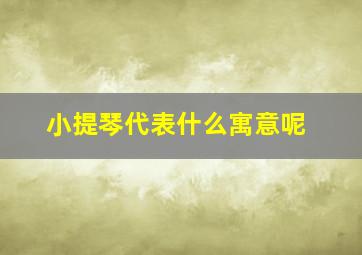 小提琴代表什么寓意呢