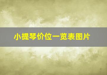 小提琴价位一览表图片