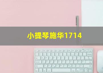 小提琴施华1714