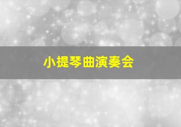 小提琴曲演奏会