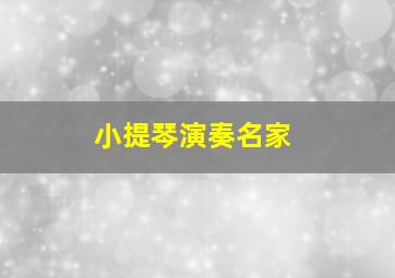 小提琴演奏名家