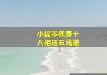 小提琴独奏十八相送五线谱