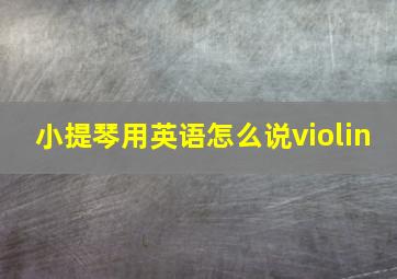 小提琴用英语怎么说violin