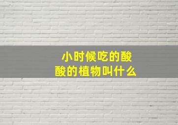 小时候吃的酸酸的植物叫什么