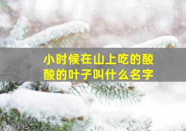 小时候在山上吃的酸酸的叶子叫什么名字