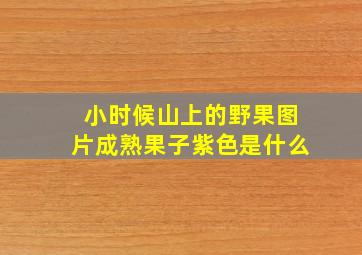 小时候山上的野果图片成熟果子紫色是什么