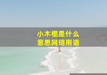 小木棍是什么意思网络用语