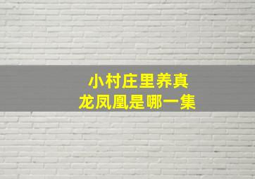 小村庄里养真龙凤凰是哪一集