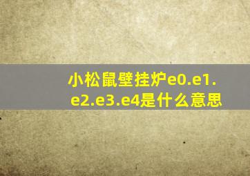 小松鼠壁挂炉e0.e1.e2.e3.e4是什么意思