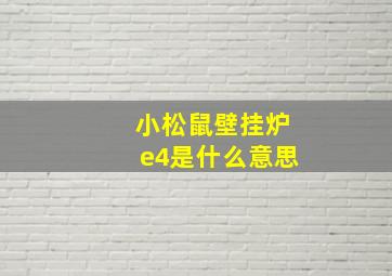 小松鼠壁挂炉e4是什么意思