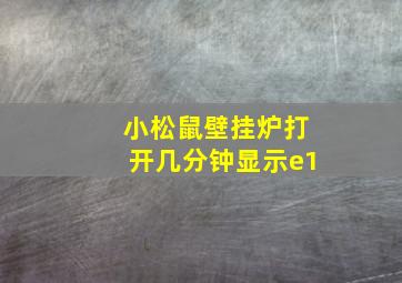 小松鼠壁挂炉打开几分钟显示e1