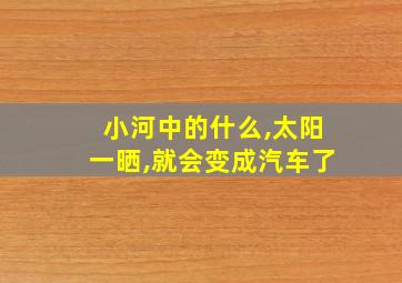 小河中的什么,太阳一晒,就会变成汽车了