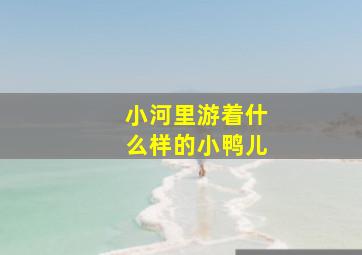 小河里游着什么样的小鸭儿