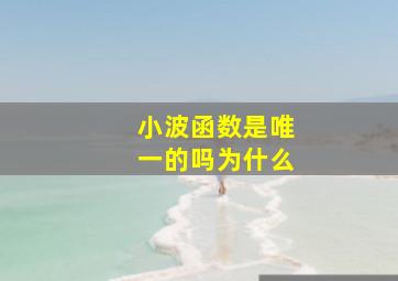 小波函数是唯一的吗为什么