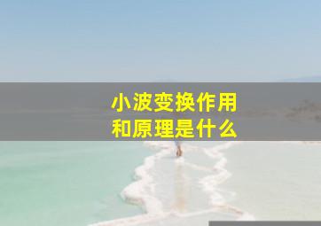 小波变换作用和原理是什么