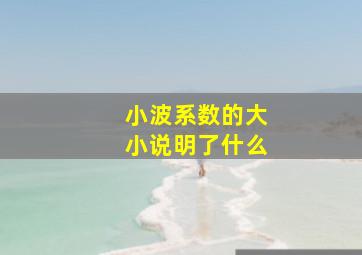 小波系数的大小说明了什么