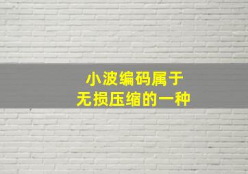 小波编码属于无损压缩的一种