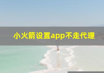 小火箭设置app不走代理