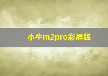 小牛m2pro彩屏版