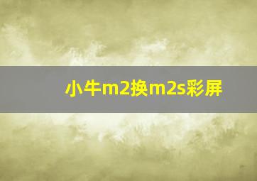 小牛m2换m2s彩屏