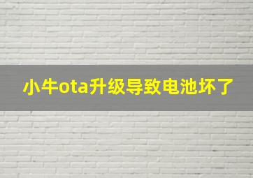 小牛ota升级导致电池坏了