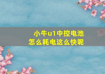 小牛u1中控电池怎么耗电这么快呢