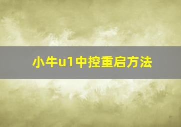 小牛u1中控重启方法