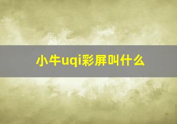 小牛uqi彩屏叫什么