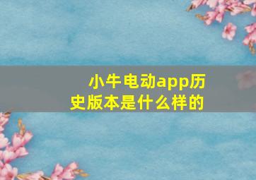 小牛电动app历史版本是什么样的