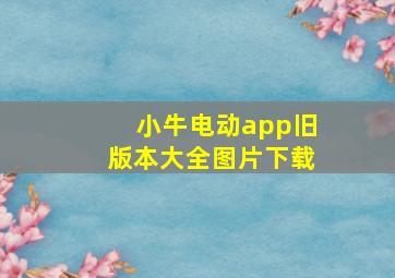 小牛电动app旧版本大全图片下载