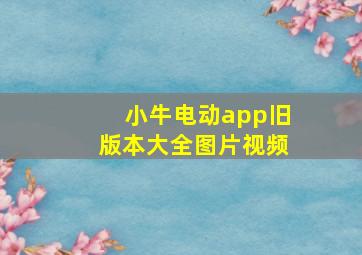 小牛电动app旧版本大全图片视频